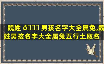魏姓 🐝 男孩名字大全属兔,魏姓男孩名字大全属兔五行土取名 🐘